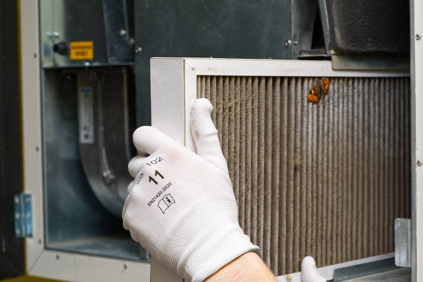 Best HVAC Maintenance and Cleaning  in Red Bud, IL