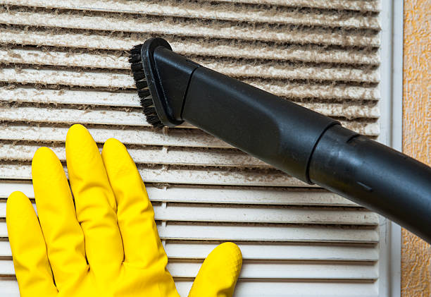 Best Air Vent Cleaning Services  in Red Bud, IL